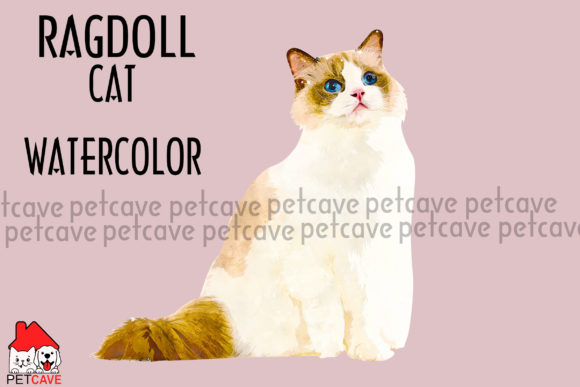 The Rise of Ragdoll Cat Watercolor in Creative Digital Design