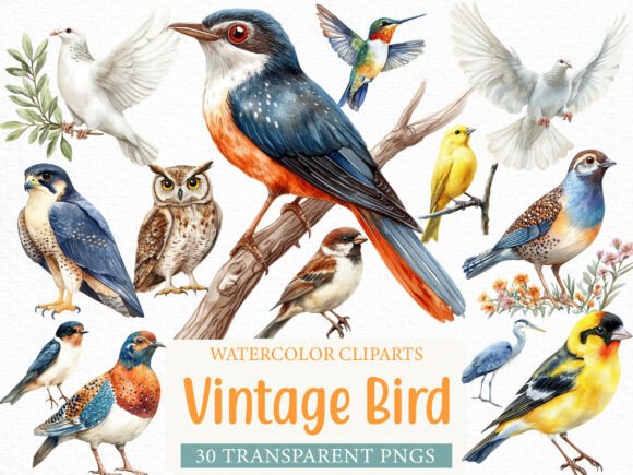 Vintage Bird Clipart for Elegant Designs