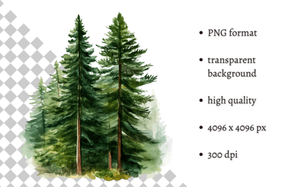 Watercolor Woodland Pine Tree Clipart: A Nature-Inspired Design Choice
